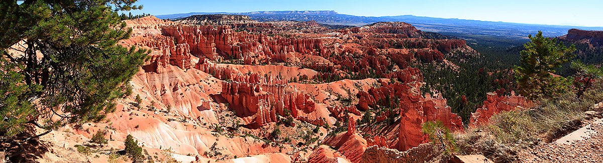 [Group-32]- MG 3247  MG 3250-4-images